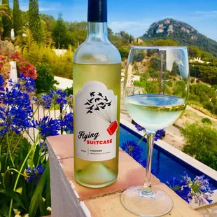 Viognier with a view