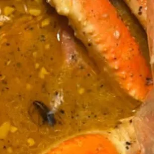 I found 2 roaches. In my seafood boil at fob n fresno ca do not trust this restaurant they are nasty and need to ne shut down immediately.