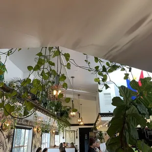 Inside of the restaurant