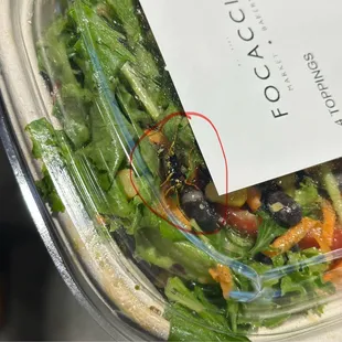 A wasp is in this salad...