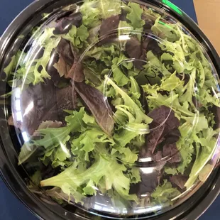 Catering salad bar