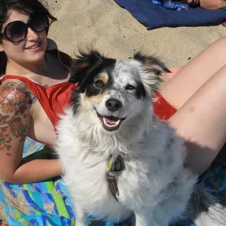 Amy P.