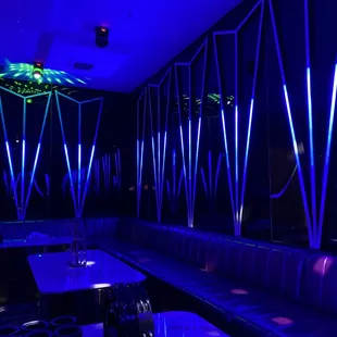 VIP karaoke room, available for 20+ people.