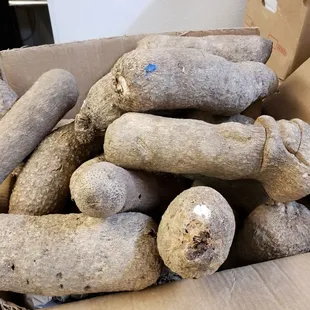 ows a cardboard box filled with various types of root