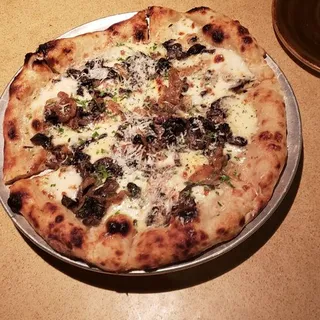 Foraged Mushroom