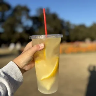 Fresh lemonade $6