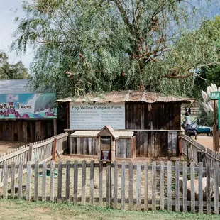 This way to the fun! This is the Fog Willow Farms entrance.