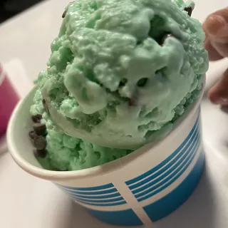 Mint Chocolate Ice Cream