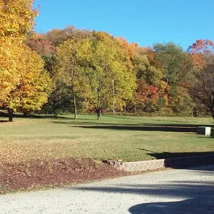 oysters and mussels, outside