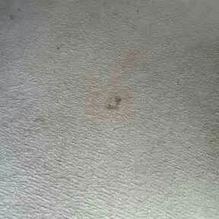 Dirty Carpet