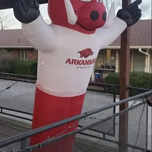 Go Hogs