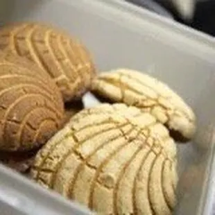 Conchas