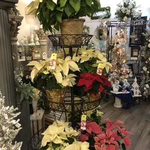 Christmas time at Foley&apos;s
