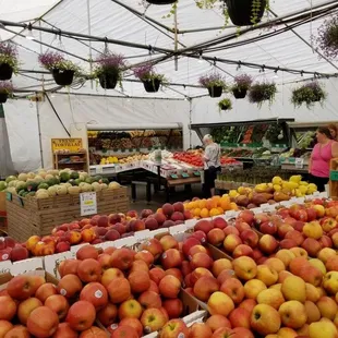 a woman shopping in a fruit market