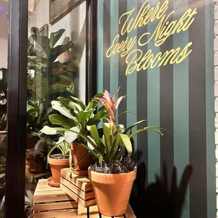 Entrance space
