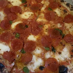 New York Pizza
