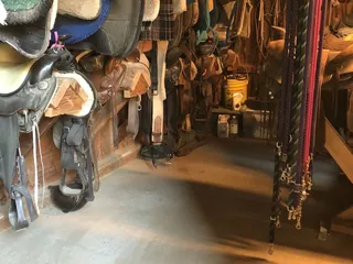 Knicker Knob Stable
