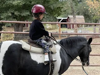 Frost Equestrian