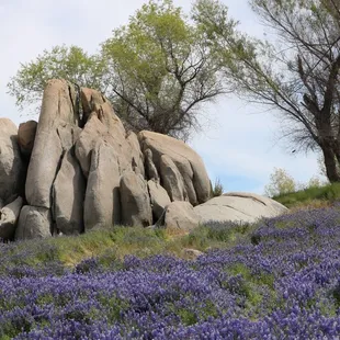 Beeks Bight Location