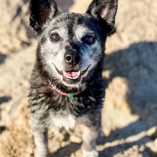 07.07.22 ... take me, take me to the water summertime, summertime