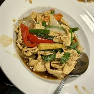 11.12.23 Thai Basil (Pad Kra Pow)