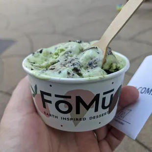 Grasshopper Pie ice cream