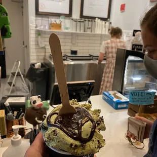 Mint Chunk Ice Cream with hot fudge