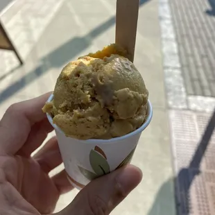 Pumpkin pie and Chocolate Pudding Ice Cream