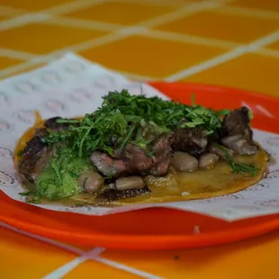 Ribeye Taco