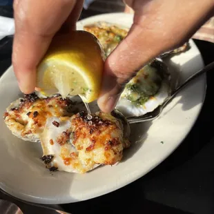 Oyster Sampler