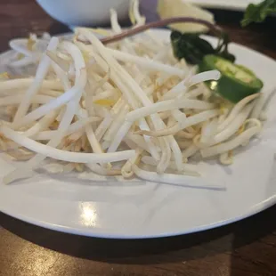 Noodles