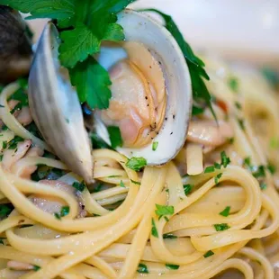 Linguine White Clam Sauce