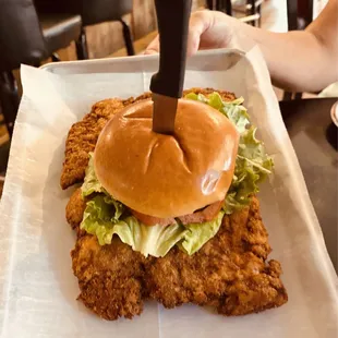 Breaded tenderloin, thick and juicy