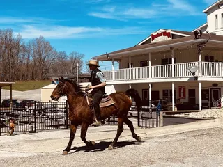 Mansfield Village Bar and Grill