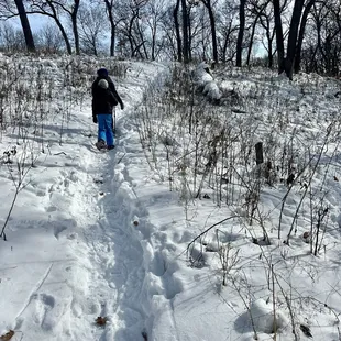 Snowshoeing