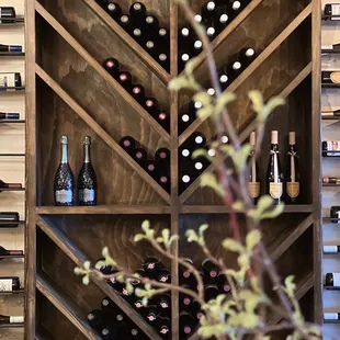 Wine