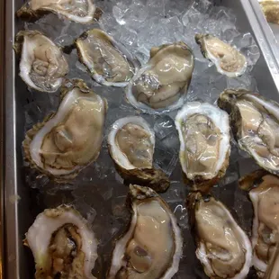 mussels, food, oysters and mussels, shellfish, oysters