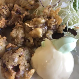 Fried Gizzard
