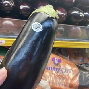 a hand holding a eggplant