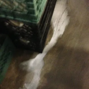 This store is so disgusting.