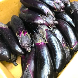 eggplant in a yellow container