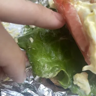 Dried dirt on the lettuce. Not egg salad upon further inspection, haha.
