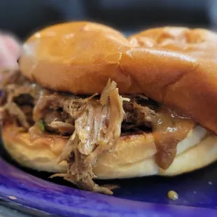 a pulled pork sandwich on a plate