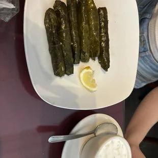 Grape leaves platter (came with chicken &amp; rice soup)
