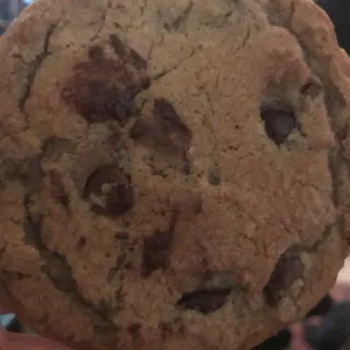 Chocolate Chip