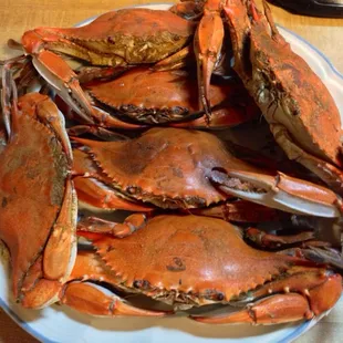 a plate of steamed crabs