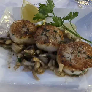 Dayboat scallops with mushrooms