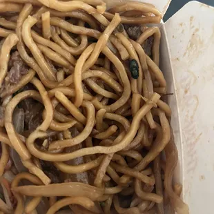 Cooked fly in Beef Lo Mein