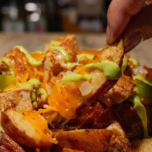 Pollo Asado Fries with potato wedges