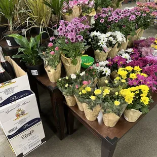 Fresh flowers